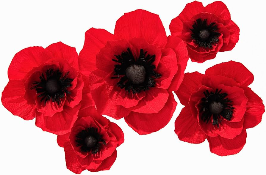 Crepe Paper Flowers Decoration for Wall, Artificial Flowers for Wedding Decor,Flower Backdrop Dec... | Amazon (US)