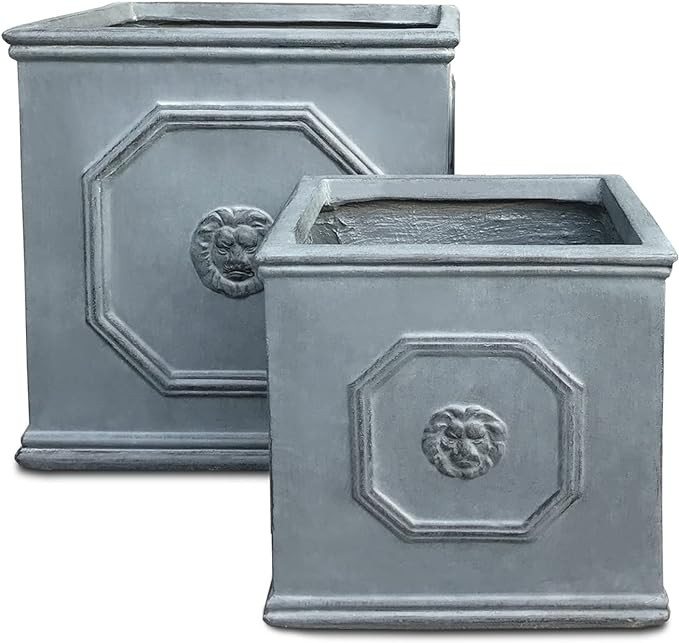 Kante Square Lion Head Concrete Planter Set of 2, Classic English Style Plant Pot with Drainage H... | Amazon (US)