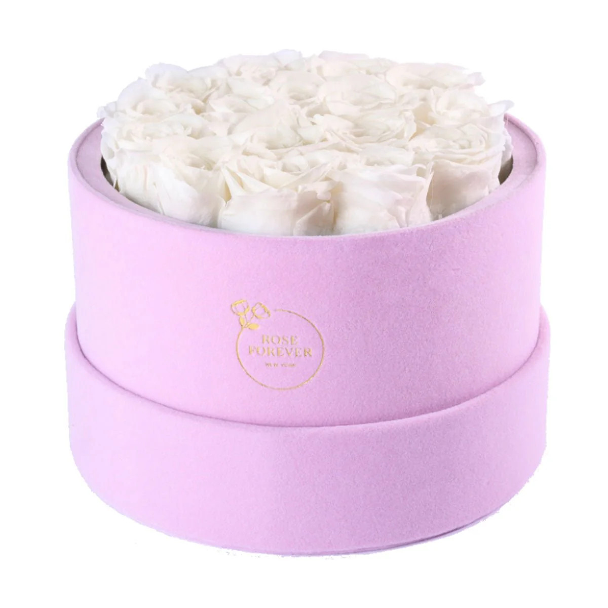 16 Ivory Roses - Pink Round Suede Box | Rose Forever 