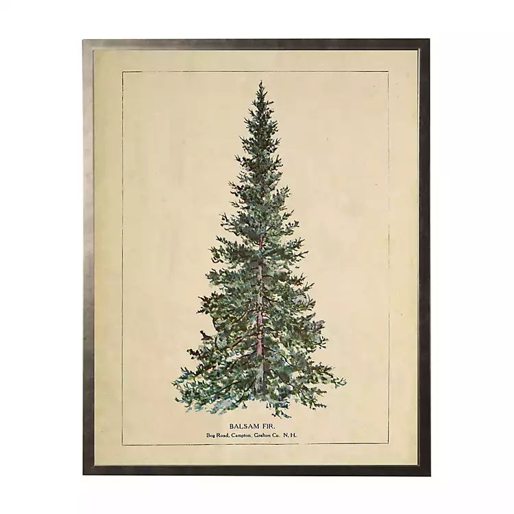 New! Vintage Balsam Tree Framed Art Print | Kirkland's Home