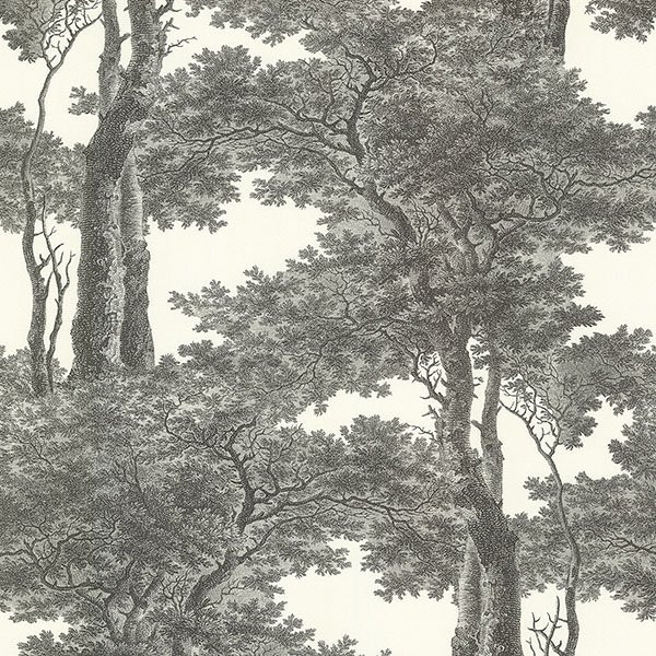 Advantage Scout Black Forest Wallpaper - Walmart.com | Walmart (US)