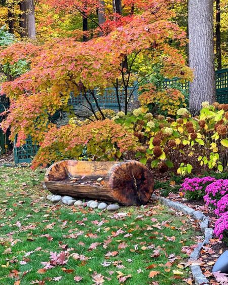 How to grow an easy care and low maintenance flower garden for beginners 

Fall, fall decor, fall flowers, cottage core, gardens, gardening, gardening tools, gardening supplies 

#LTKSeasonal #LTKHoliday #LTKhome