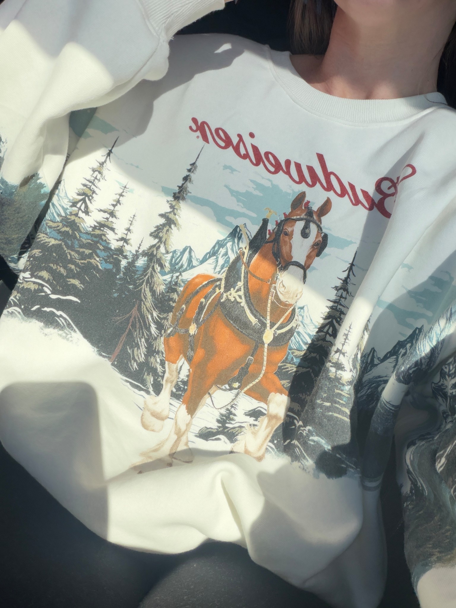 Christmas vintage sweatshirt at Target! I got XL for oversized fit. Soooo soft

#LTKHoliday #LTKSeasonal #LTKGiftGuide