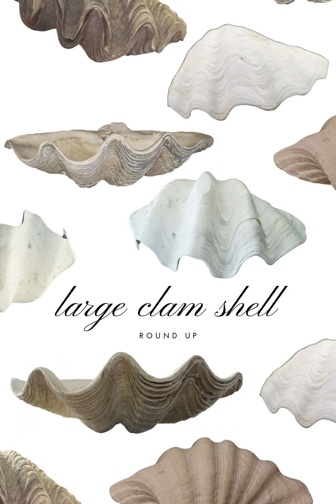 Large clam shell round up 

#LTKHome #LTKSeasonal