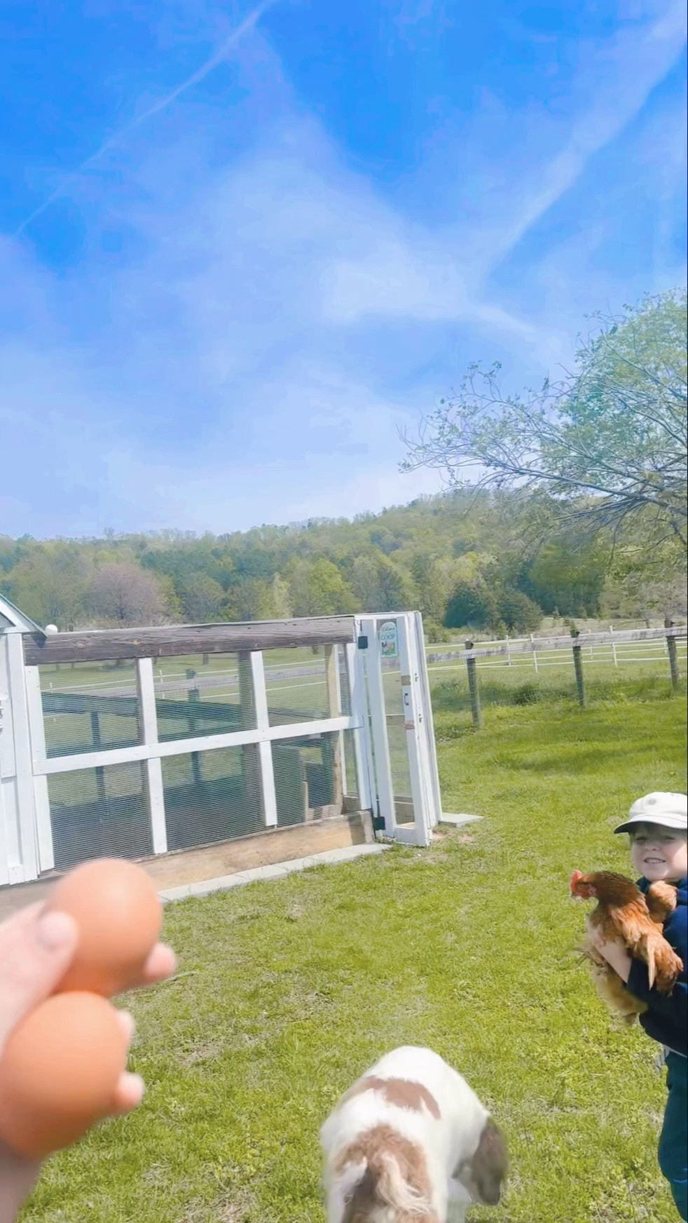 Days like this 🫧🧺🐓🥚🚜🌱☀️🌼

#LTKdayinmylife #LTKmomlife