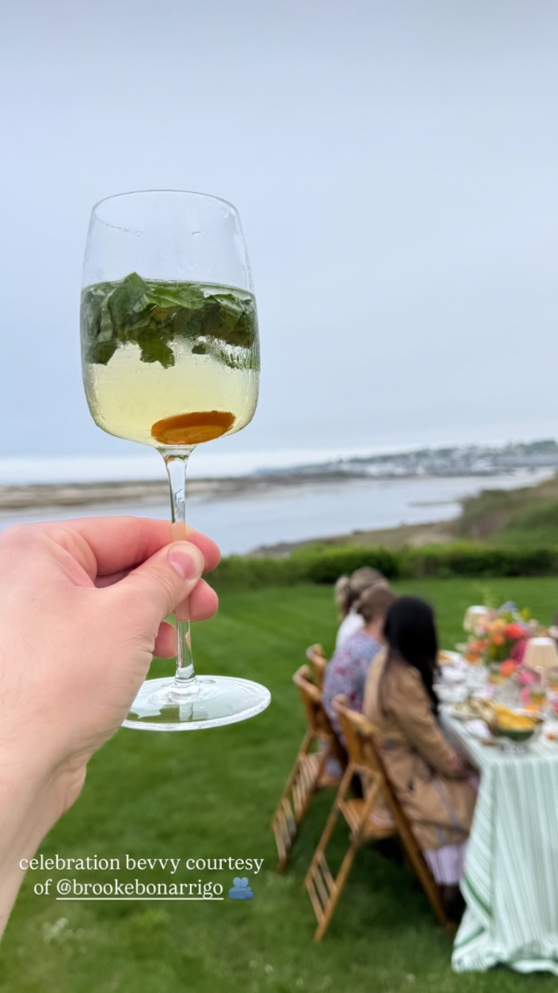 wine glasses for a summer sprtiz

#LTKSeasonal #LTKFindsUnder100 #LTKHome