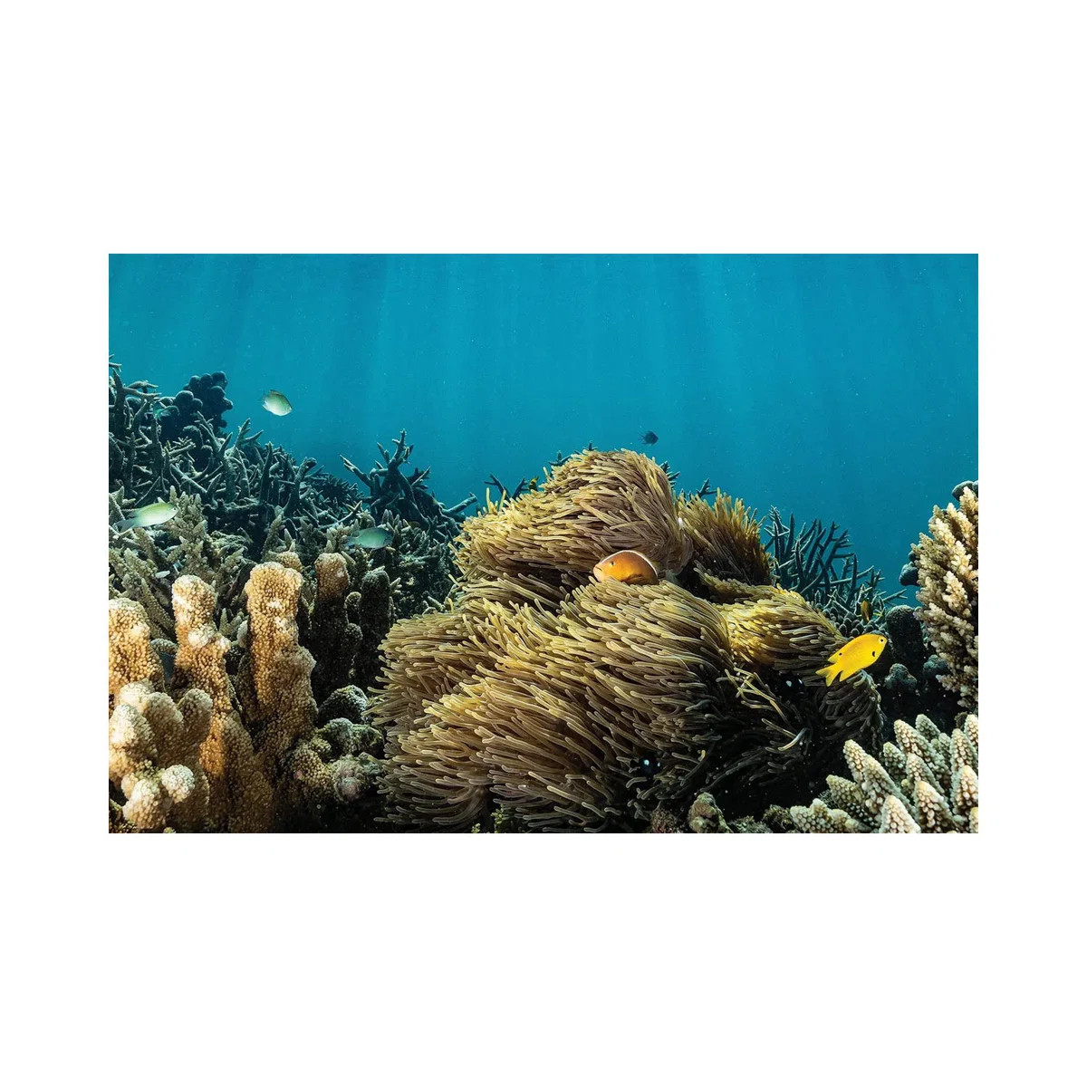 " Home " by Serge Melesan | Wayfair North America