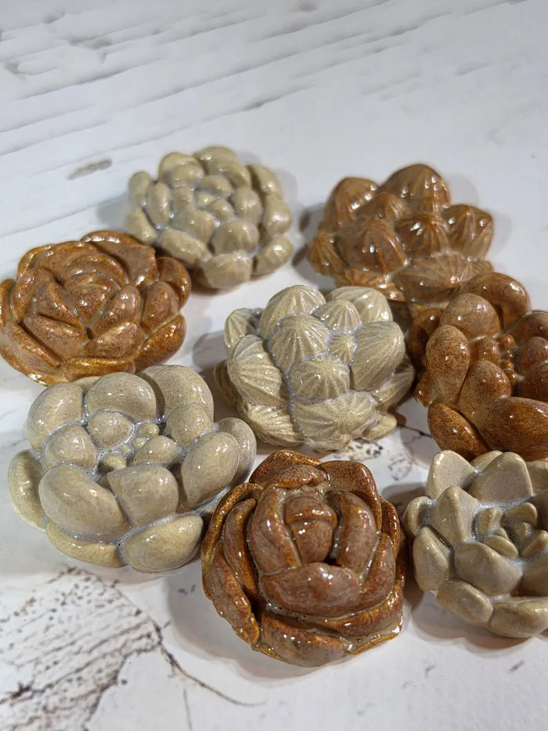 Ceramic Succulent Plants - Assorted Designs - Set of 8 - Handmade - Etsy | Etsy (Global)