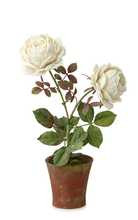 Dual Rose Porcelain Sculpture | Moda Operandi (Global)