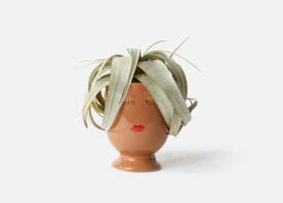 The Cathy




$50 | UrbanStems