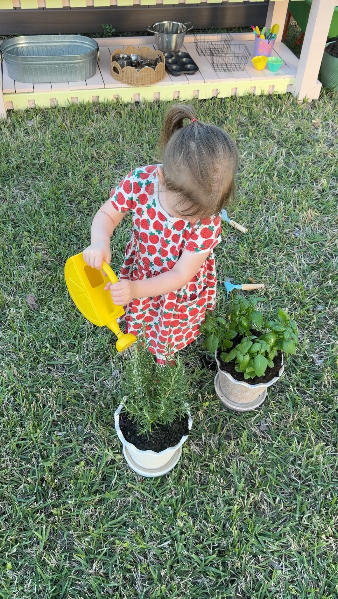 Scalloped planters🤍 

#LTKSeasonal #LTKmomlife #LTKKids