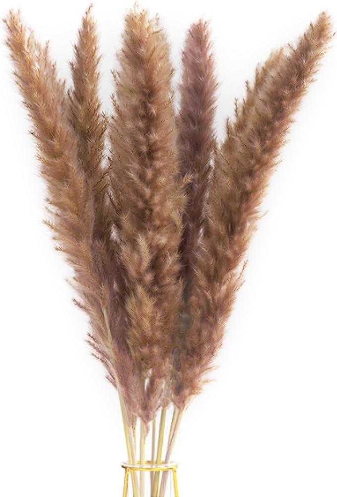 Dried Pampas Grass Decor Tall - 30pcs of 17.7" Natural Beautiful and Fluffy Pompous Grass for Liv... | Amazon (US)