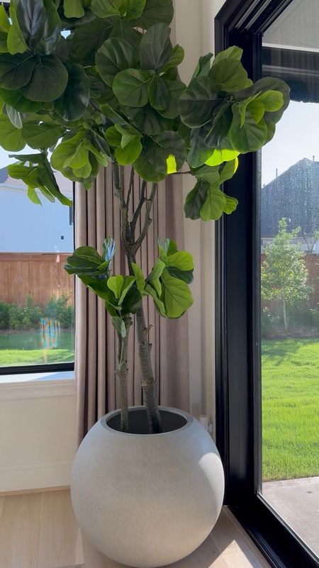 Hey friend! I’ve linked my fiddle tree and planter as well as simple planters! 🤍🫶🏽🤍

#LTKVideo #LTKHome