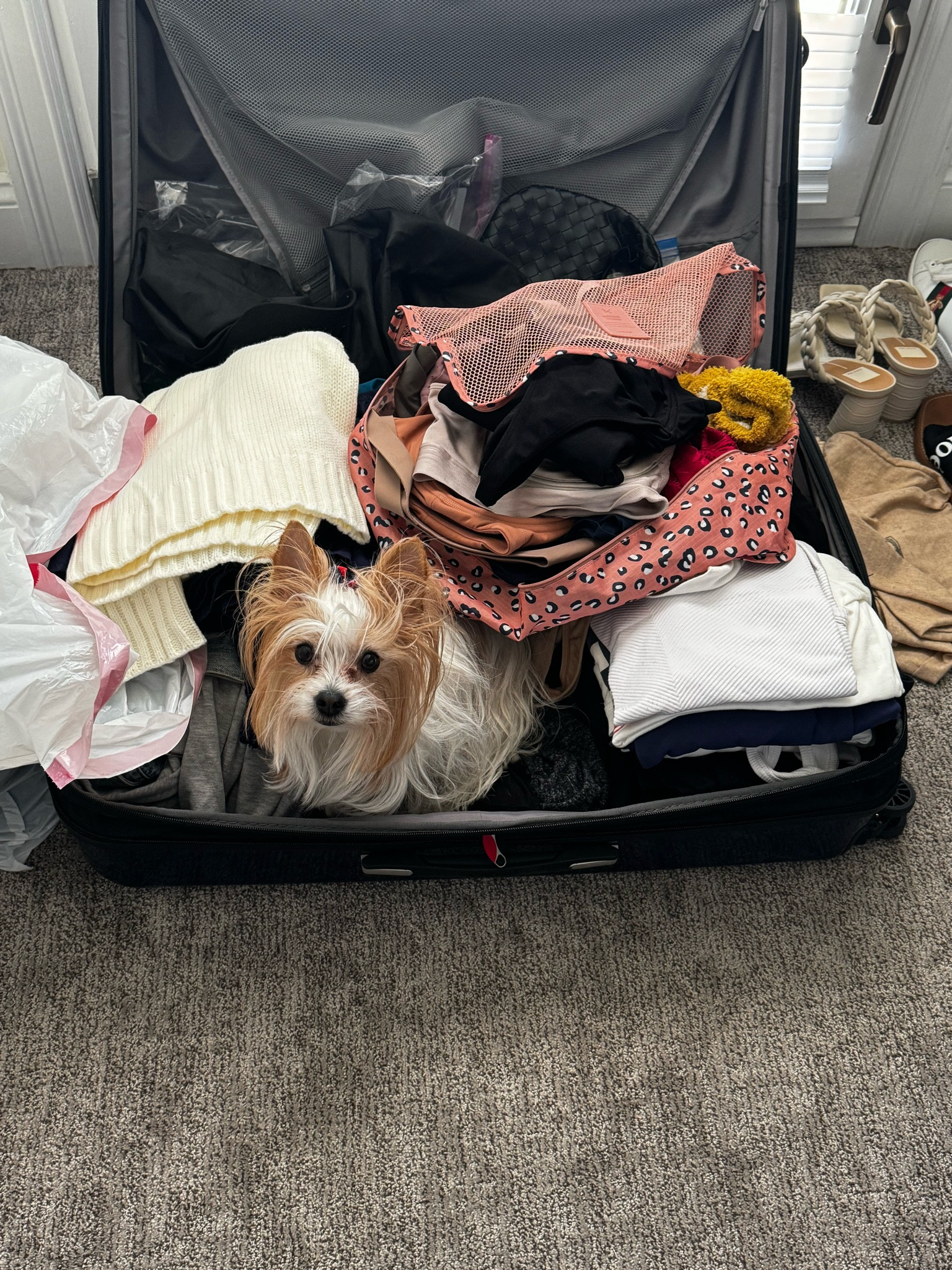 Packing 

#LTKStyleTip #LTKFindsUnder50 #LTKTravel