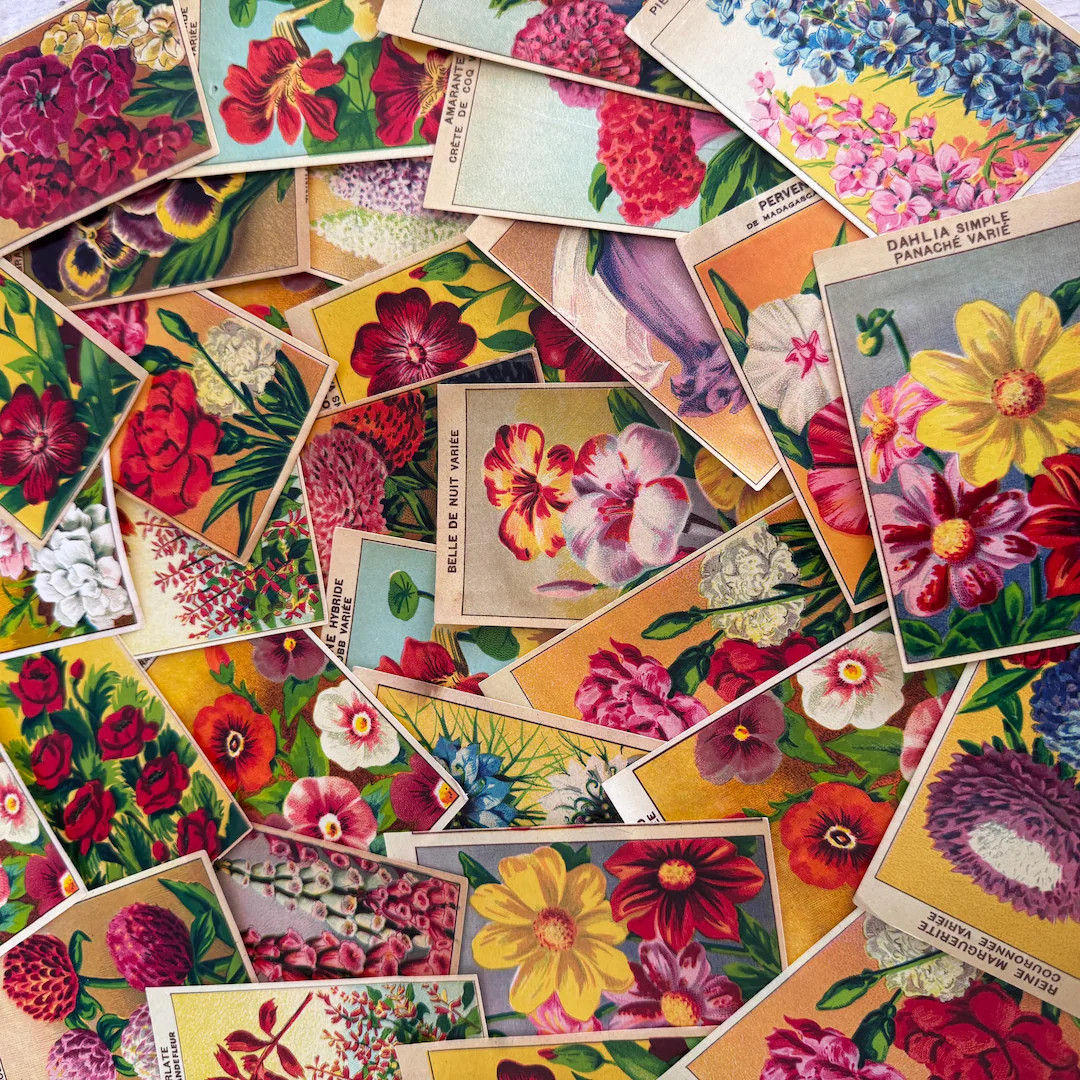 French Vintage Seed Labels, Vintage Scrapbooking, Ephemera - Etsy | Etsy (US)