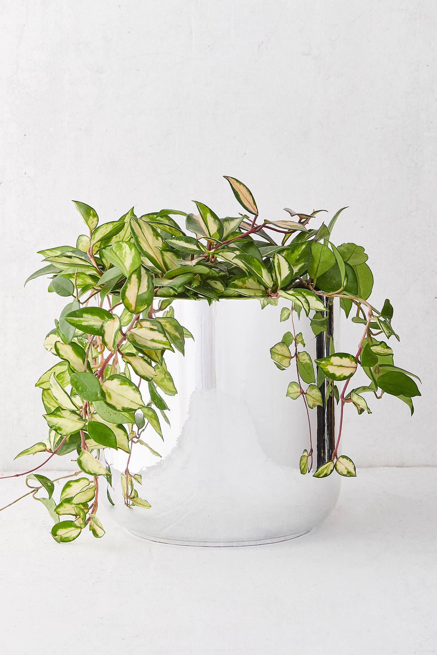 Chrome Glazed 10” Planter | Urban Outfitters (US and RoW)