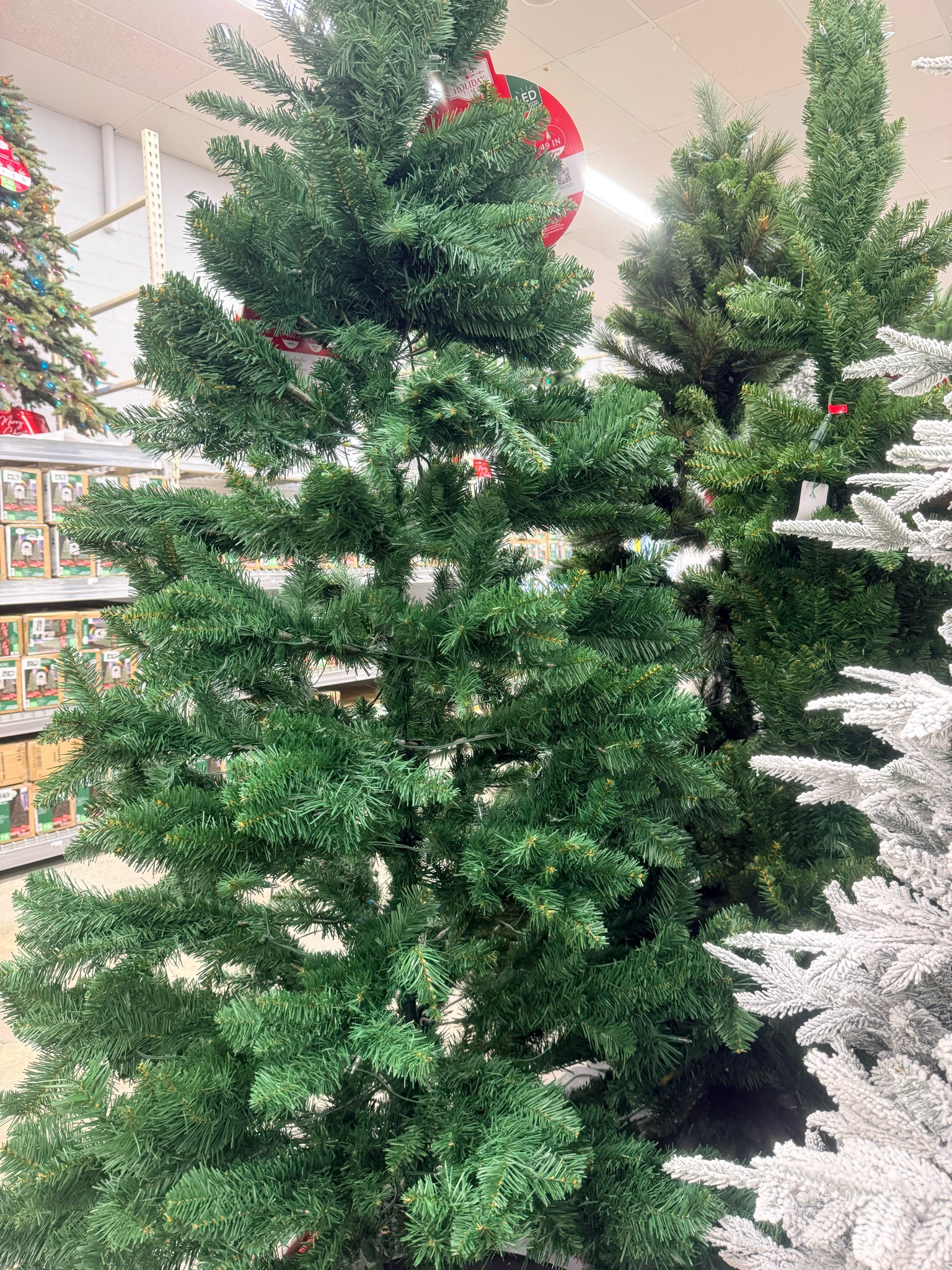 BABY, THE CHRISTMAS TREE EVERYONE WANTED IS BACK! 🎄😍

The VIRAL Christmas tree is officially back and I am already ready to decorate! 😂❤️ If you’ve been waiting for this one, THIS IS YOUR SIGN!

🛍️ I LINKED THE TREE ON MY LTK! GO SHOP MY CHRISTMAS PICKS!

#ChristmasDecor #ChristmasTree #HolidayFinds #LTKFinds
