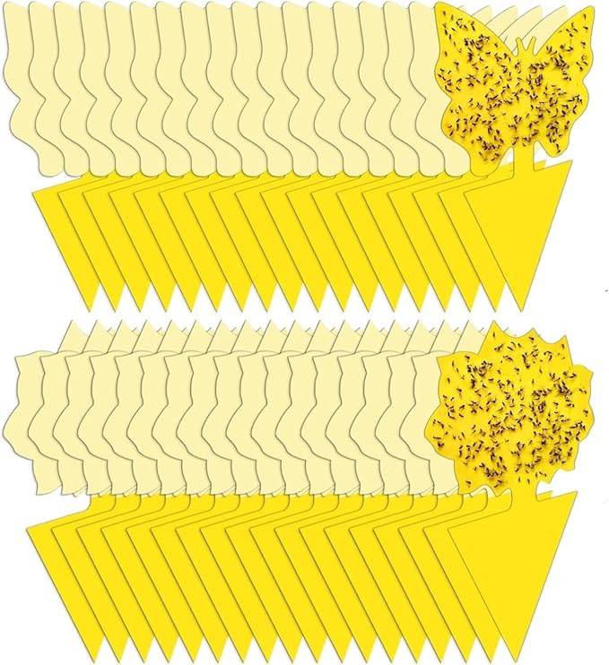 36 Pack Fruit Fly Trap for Indoors, Fungus Gnat Killer Indoor Sticky Traps for Mosquito and Flyin... | Amazon (US)