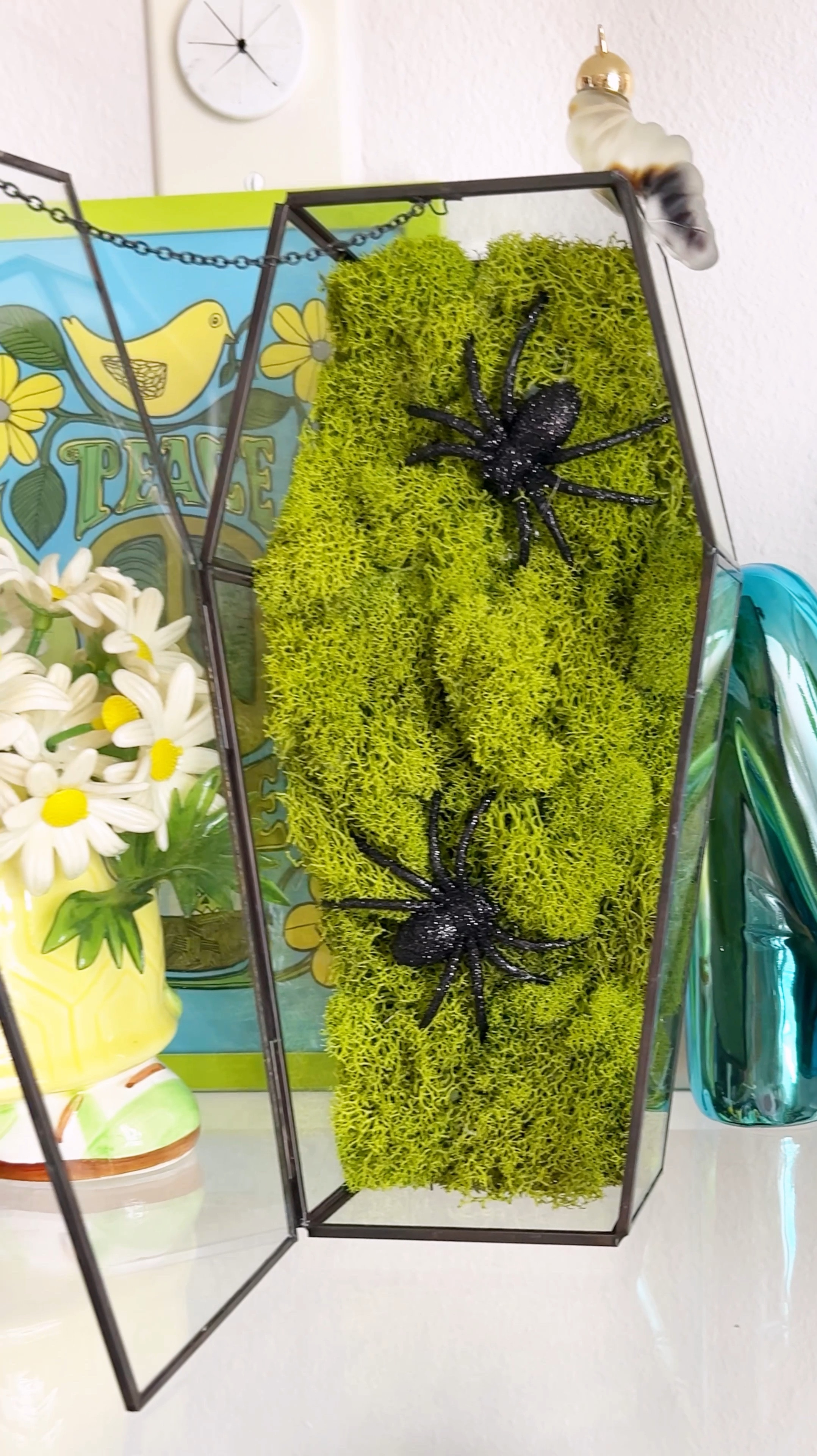 Halloween DIY
Spiders
Moss Terrarium
Fall Decor
Halloween Decor
DIY

#LTKHome #LTKSeasonal #LTKFindsUnder50