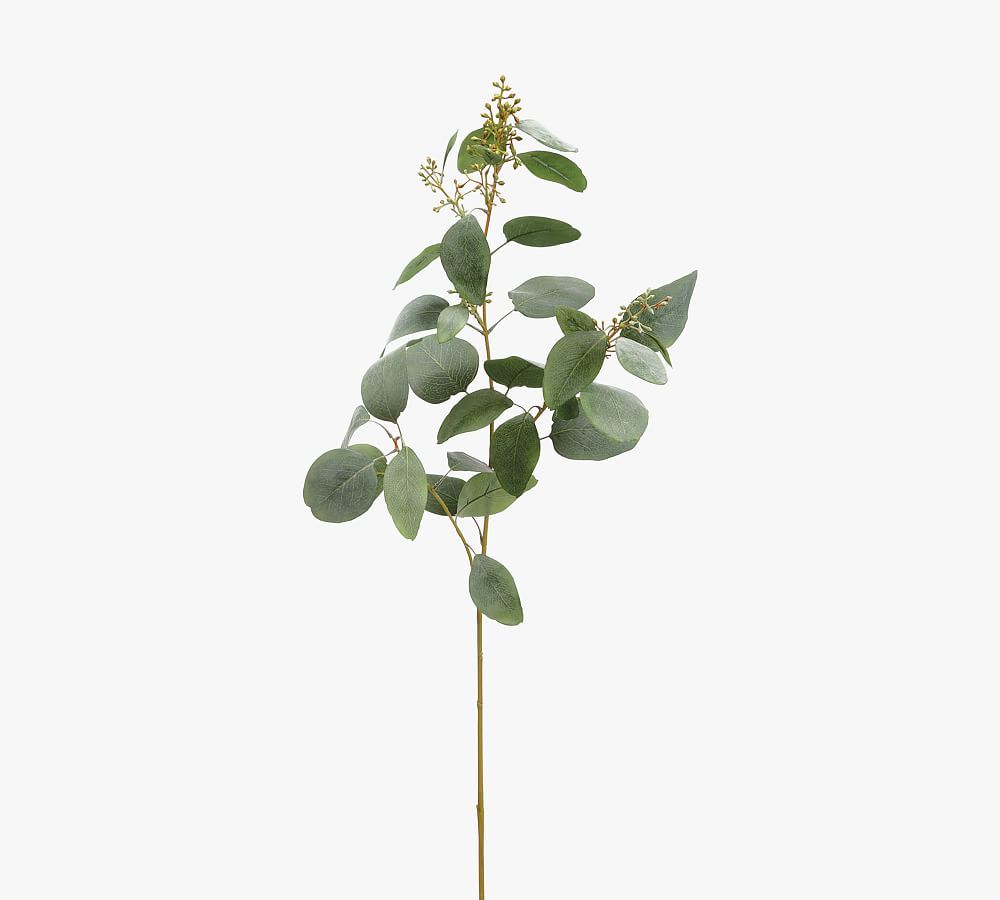 Faux Eucalyptus Leaf Branches - Set of 3 | Pottery Barn (US)