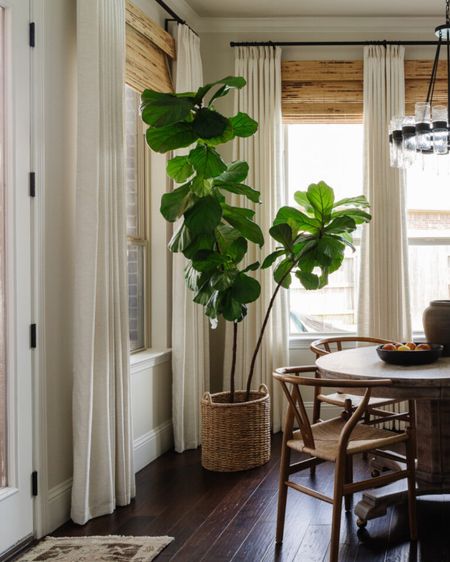 I love our real fiddle leaf fig tree, I’ve had it for years.  If you’re looking for one without the maintenance I’m linking to some beautiful faux options.



#LTKhome