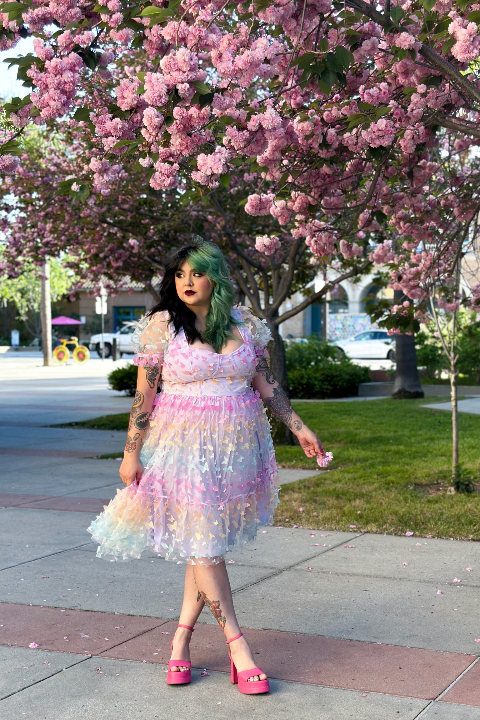 Spring is here and the flowers are blooming 💐🦋