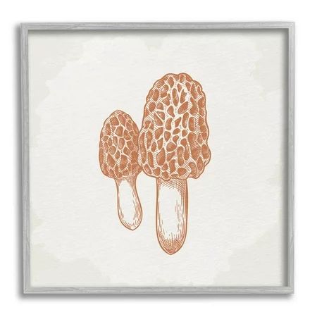 Stupell Industries Detailed Mushroom Latin Study Drawing Graphic Art Gray Framed Art Print Wall Art  | Walmart (US)