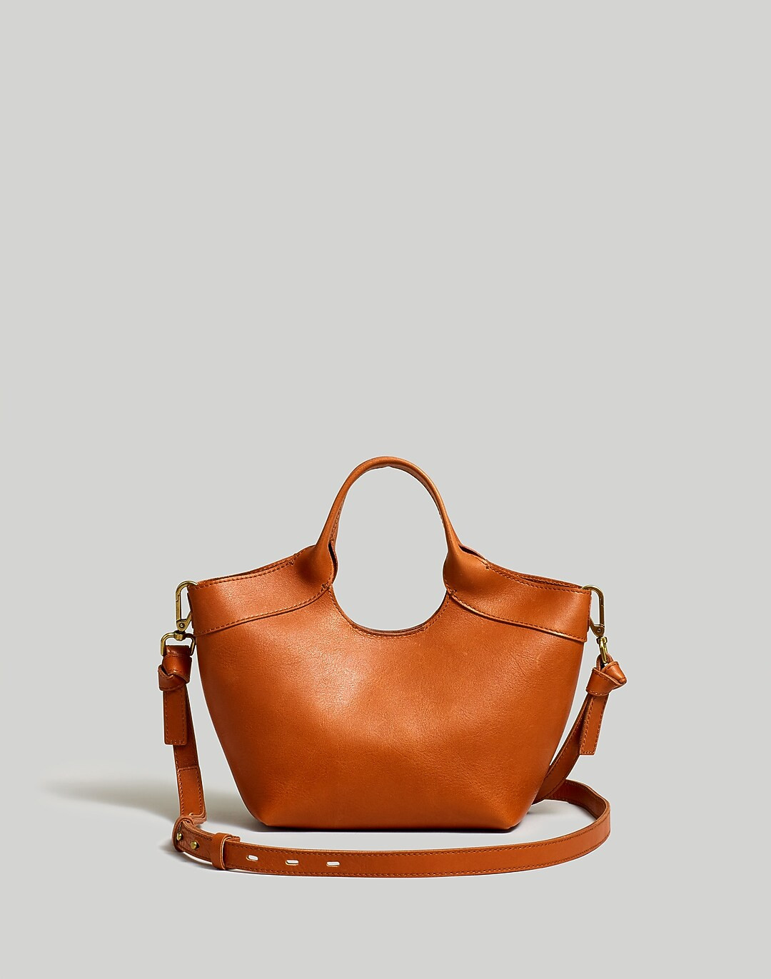 The Mini Sydney Cutout Tote in Leather | Madewell