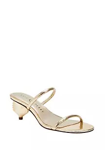 The Scalloped Shell | Belk