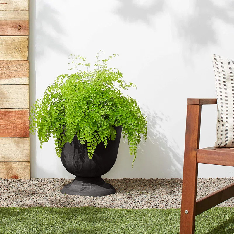 Myrtle Avenue Planter | Wayfair North America