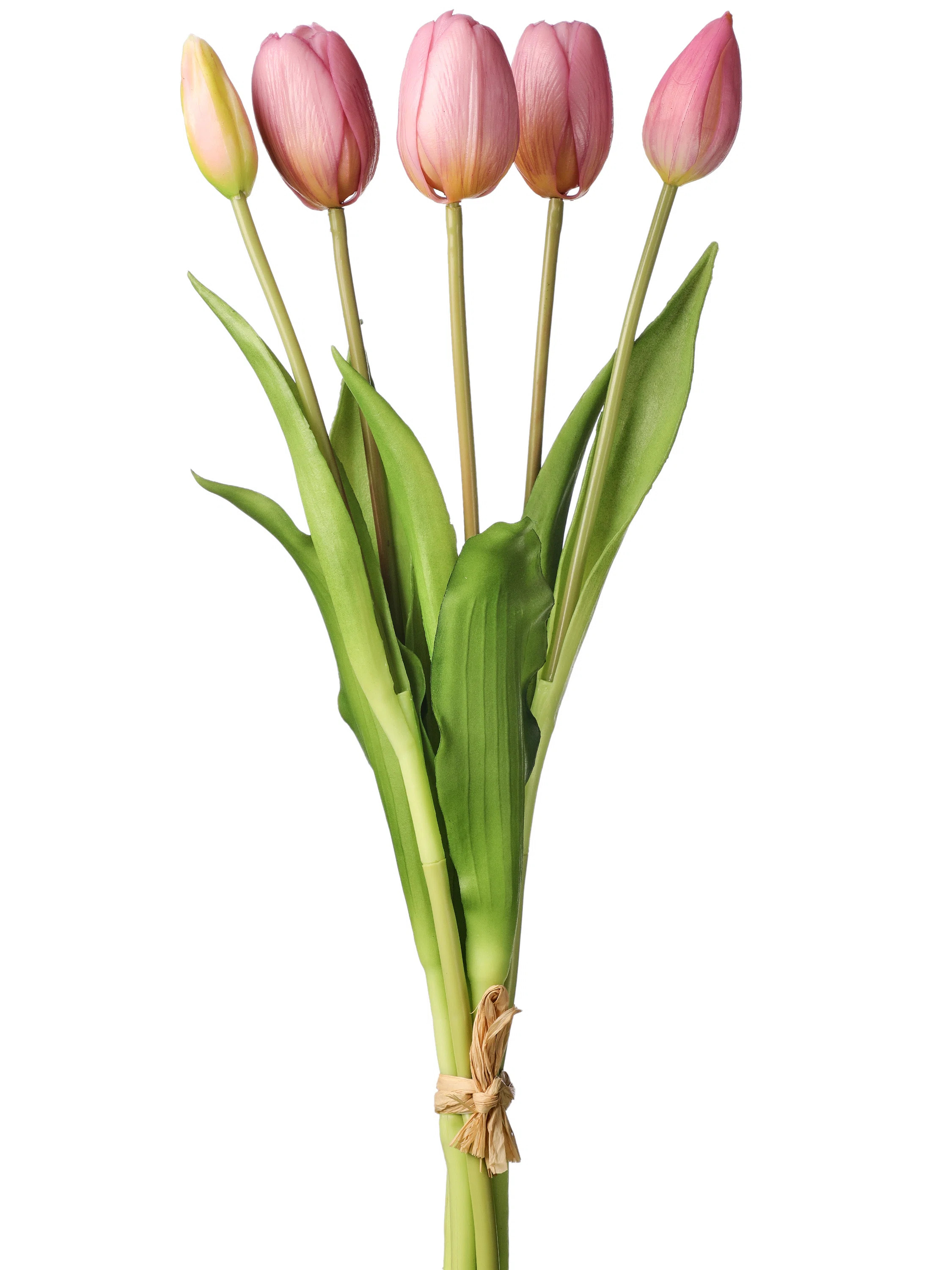 Tulip Arrangement (Set of 2) | Wayfair North America