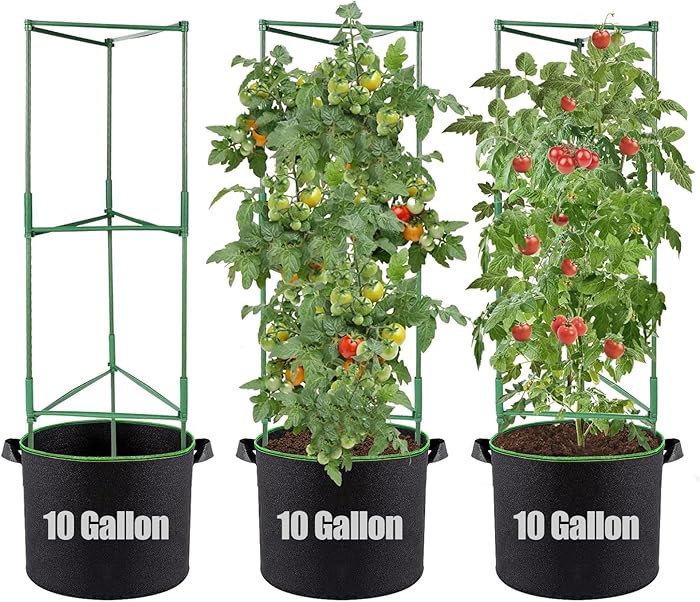 ANPHSIN 3 Sets Tomato Cages with 10 Gallon Grow Bags - 48" Stable Plant Garden Planter, Flowers V... | Amazon (US)