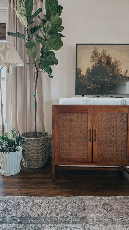 I ordered this Target cupboard with the idea to use it as a TV stand! Still debating My options but it is a beautiful cupboard!All links below and a few extra similar items! #livingroom #tvstand #homedecor #livingspace 

#LTKhome #LTKstyletip #LTKU