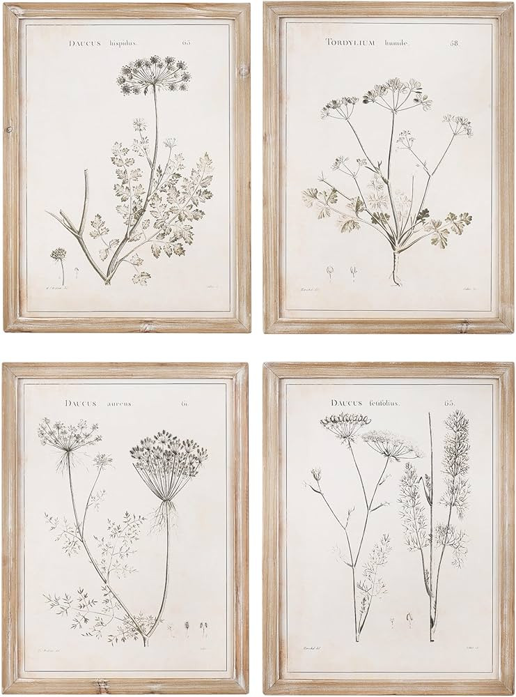 Creative Co-Op Distressed Wood Framed Botanical Wall Art, White and Gold, Set of 4 | Amazon (US)