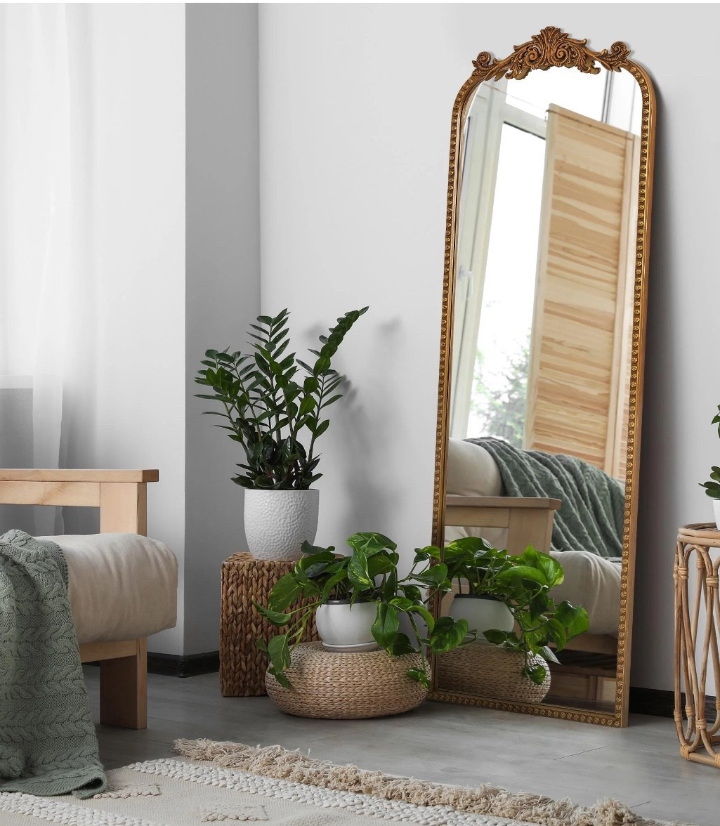 This 64x22 gold arch mirror from Walmart is such a stunning home find 🪞 The ornate detailing gives it that vintage, high-end feel without the hefty price tag. Perfect as a full-length mirror in the bedroom, leaned against the wall in a dressing space, or even styled in an entryway. At this price, it’s a luxe look for less ✨ 

#LTKFindsUnder100 #LTKHome