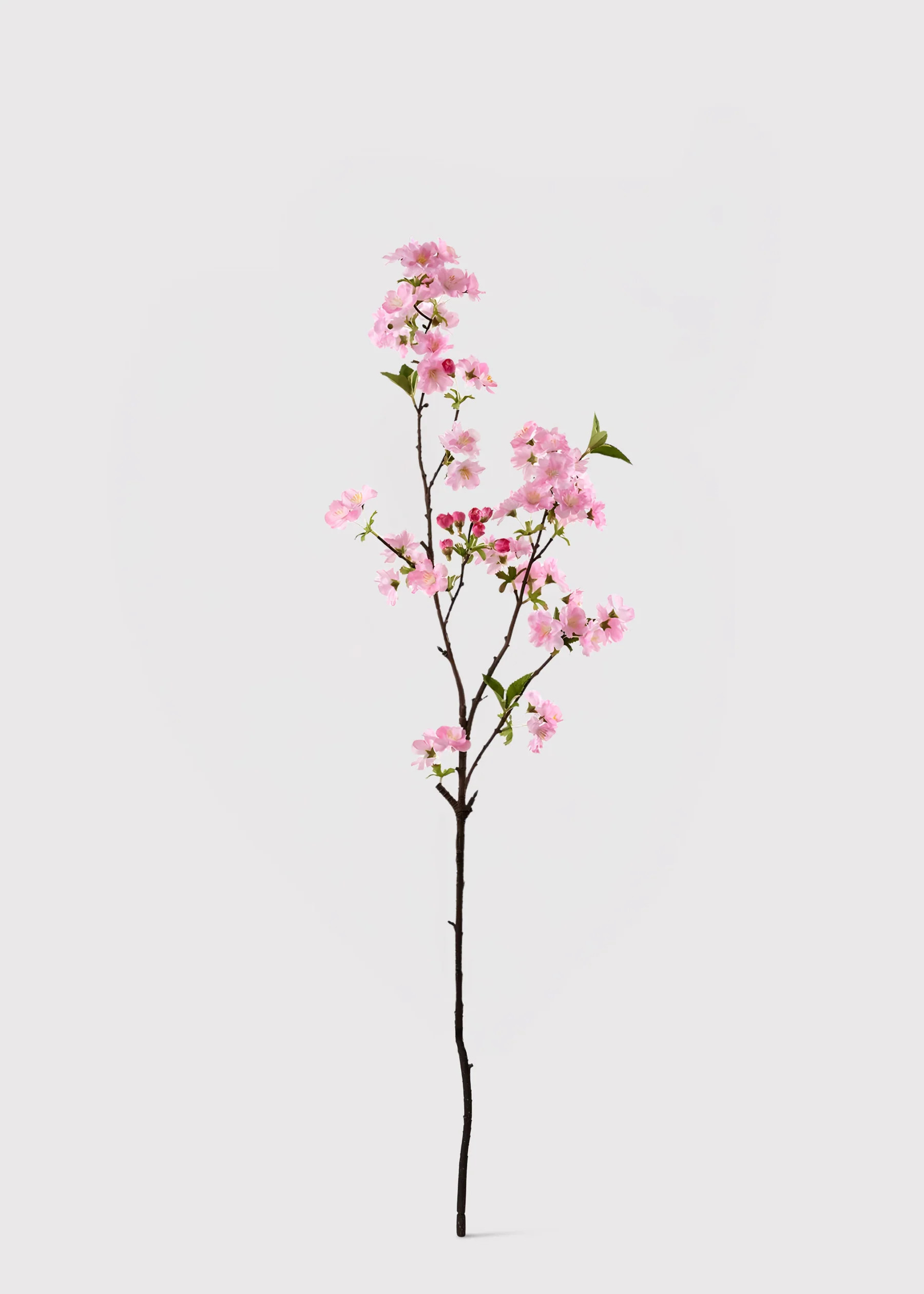 Pink Cherry Blossom Stem | Artificial Spring Flower Branches | Afloral | Afloral