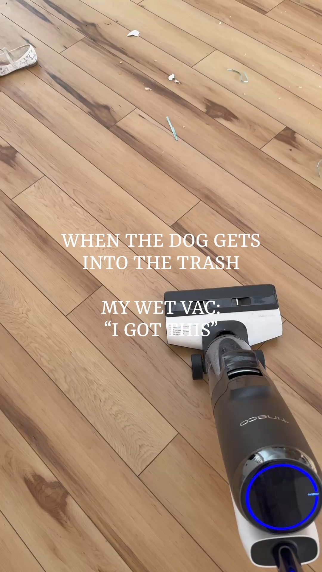 Easter mess? Conquered. This mop has officially earned its spot as my #1 home must-have. If you don’t have one yet, trust me—you’re behind. 

#CleanTok #CleaningMotivation #CleaningInspo #CleaningHacks #CleanWithMe #SpeedCleaning #MomLifeCleaning #TidyHome #CleanHomeHappyHome #DeepClean #CleanHouseCleanMind #HomeReset #DailyCleaningRoutine #WeekendCleaning #CleanVibesOnly #BeforeAndAfterClean #MopLife #SatisfyingClean #CleanMama #CleaningTime #SpringCleaning #OrganizedAndClean #HomeCareRoutine #CleanSpaces #CleanLiving #CleaningProductsILove #CleanHomeGoals #CleaningTherapy #MessToFresh #CleaningReels

#LTKWatchNow #LTKHome #LTKSaleAlert