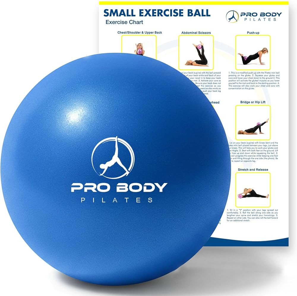 ProBody Pilates Small Exercise Ball - 9 Inch Workout Ball for Stability, Barre, Yoga, Core & Phys... | Amazon (US)
