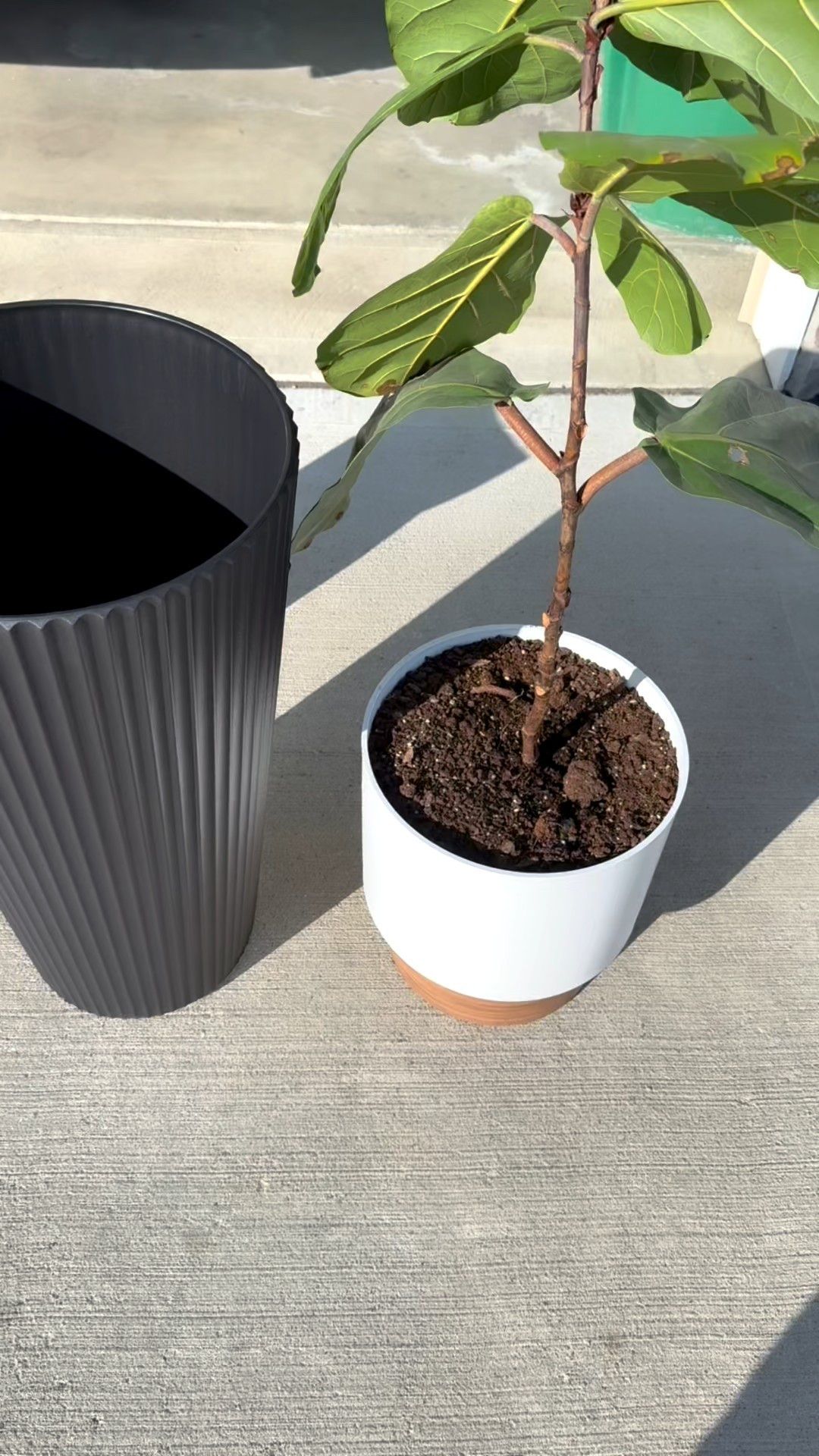 Obsessed with these Veradek planters 🤍 They give that high-end stone look I love, but they’re lightweight and easy to move around (which is a must when I’m constantly rearranging things 🙃). They’re also super affordable, which makes updating a space feel so much more doable. Durable, modern, and they instantly elevate a space — indoors or out.

#LTKhome #PatioSeason #HomeRefresh #ModernOutdoor #SpringDecor

#LTKmomlife #LTKdayinmylife #LTKHome