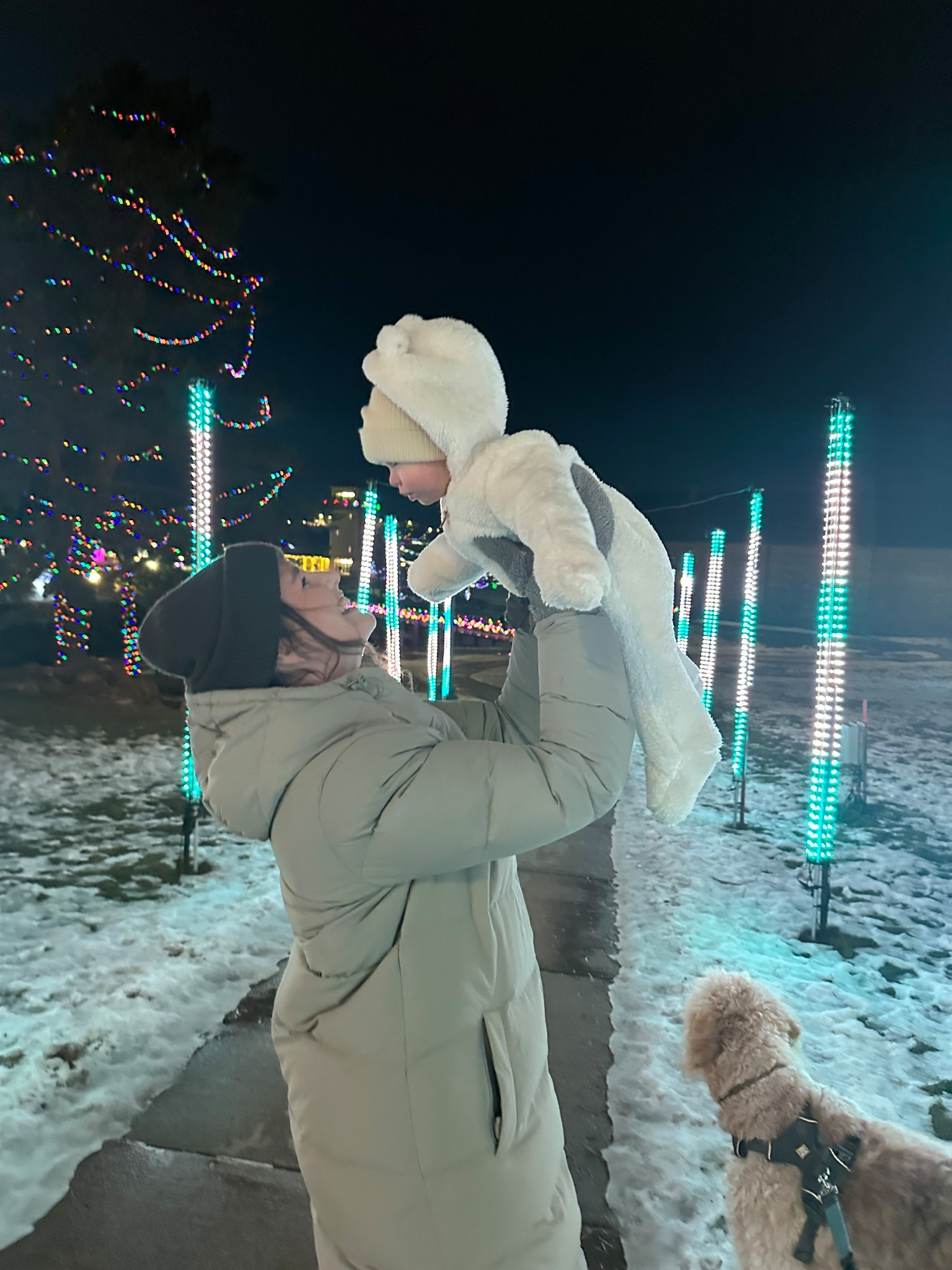 Affordable warm winter coat, beige winter coat, Midwest winter 

#LTKSeasonal #LTKdayinmylife #LTKmomlife