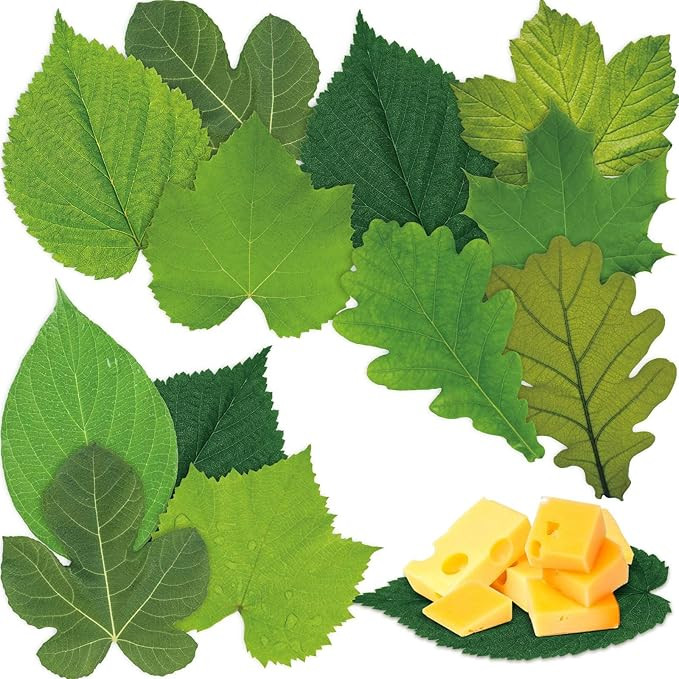 Tenceur 150 Pcs Parchment Paper Leaves 7.2 in Spring Cheese Papers Leaves Charcuterie Boards Spri... | Amazon (US)