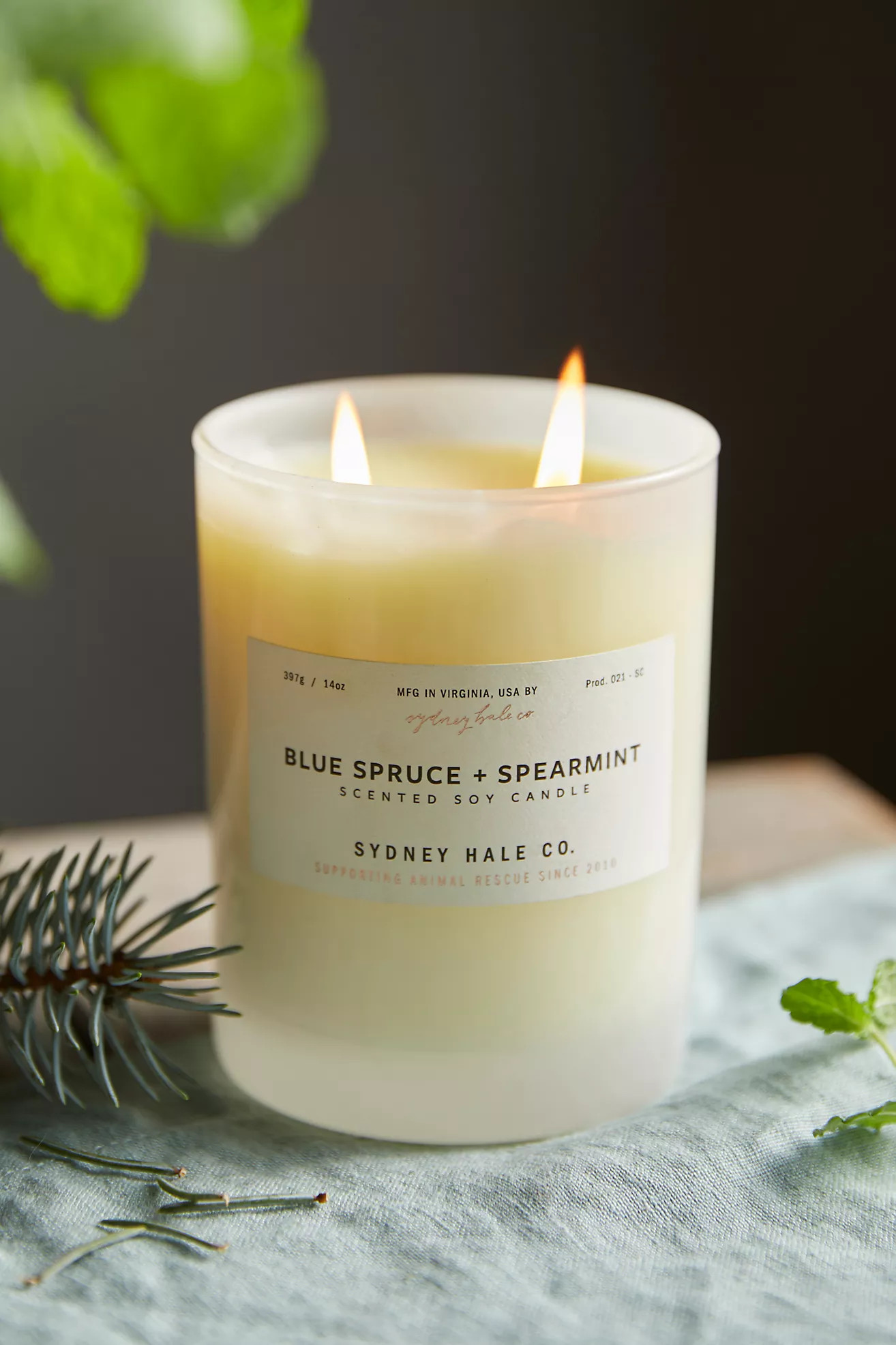 Sydney Hale Candle, Blue Spruce + Spearmint | Anthropologie (US)