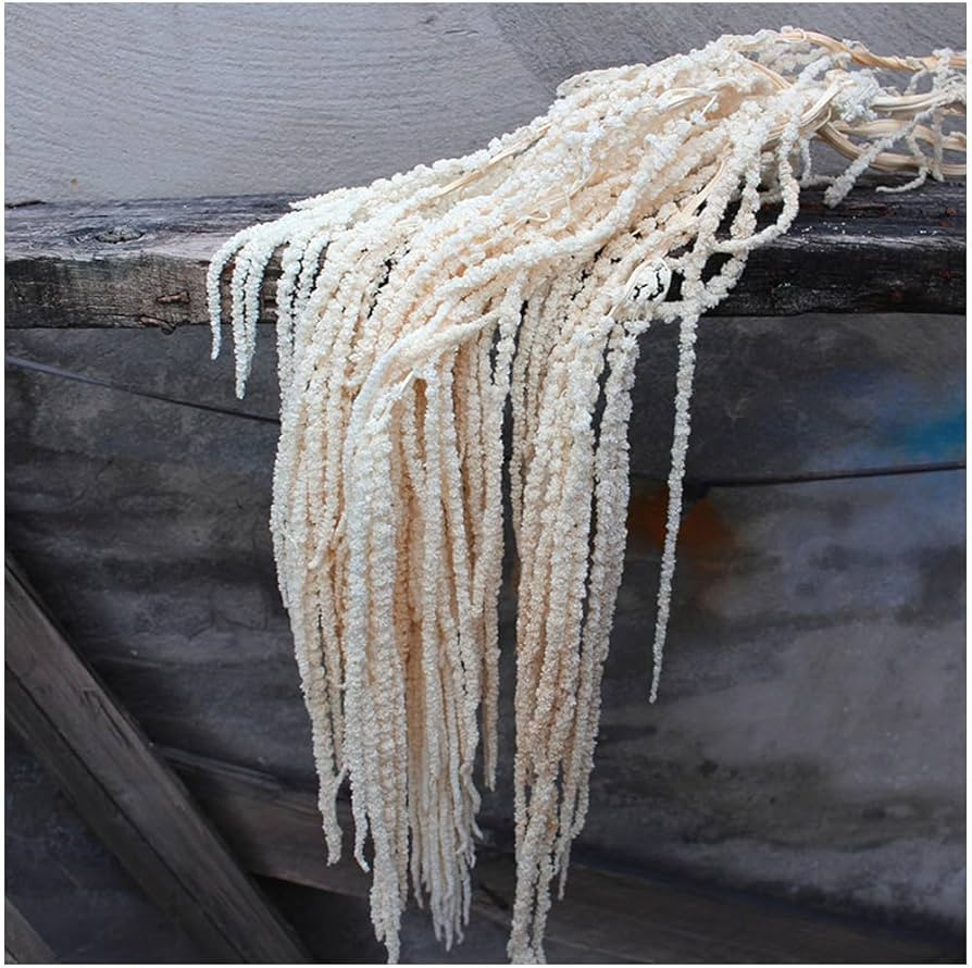 5Pcs Dried Preserved Amaranthus Hanging Flowers 35 Inches White Wisteria Vine Real Dried Flower f... | Amazon (US)