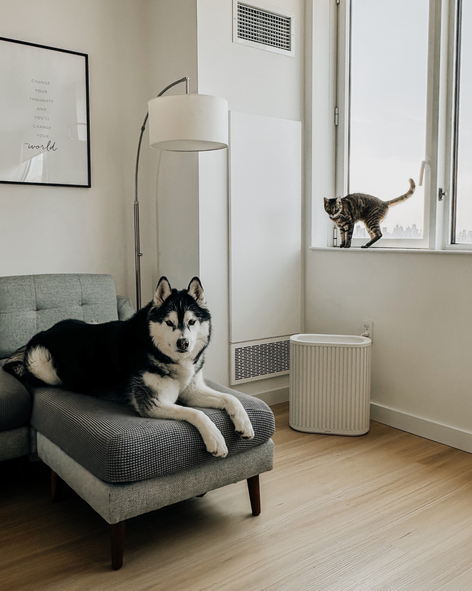 The most aesthetic air purifier in the market! It’s a must have for a spring allergy sufferers and multiples households  

#LTKHome #LTKPets