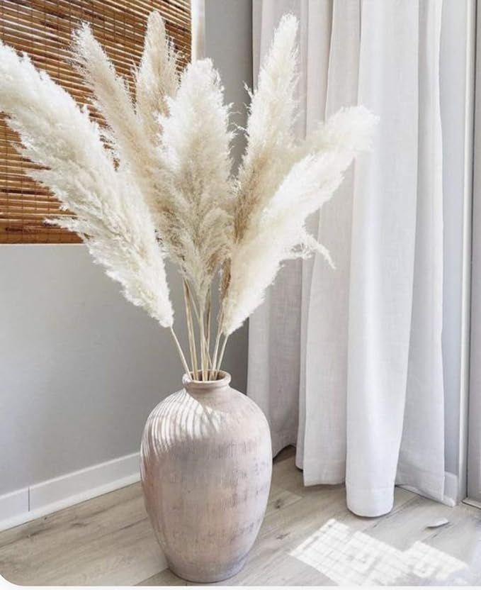Large Pampas Grass Decor with Fluffy Plumes. 3 Stems and 46-48'' Tall Pampas Grass White - Feathe... | Amazon (US)