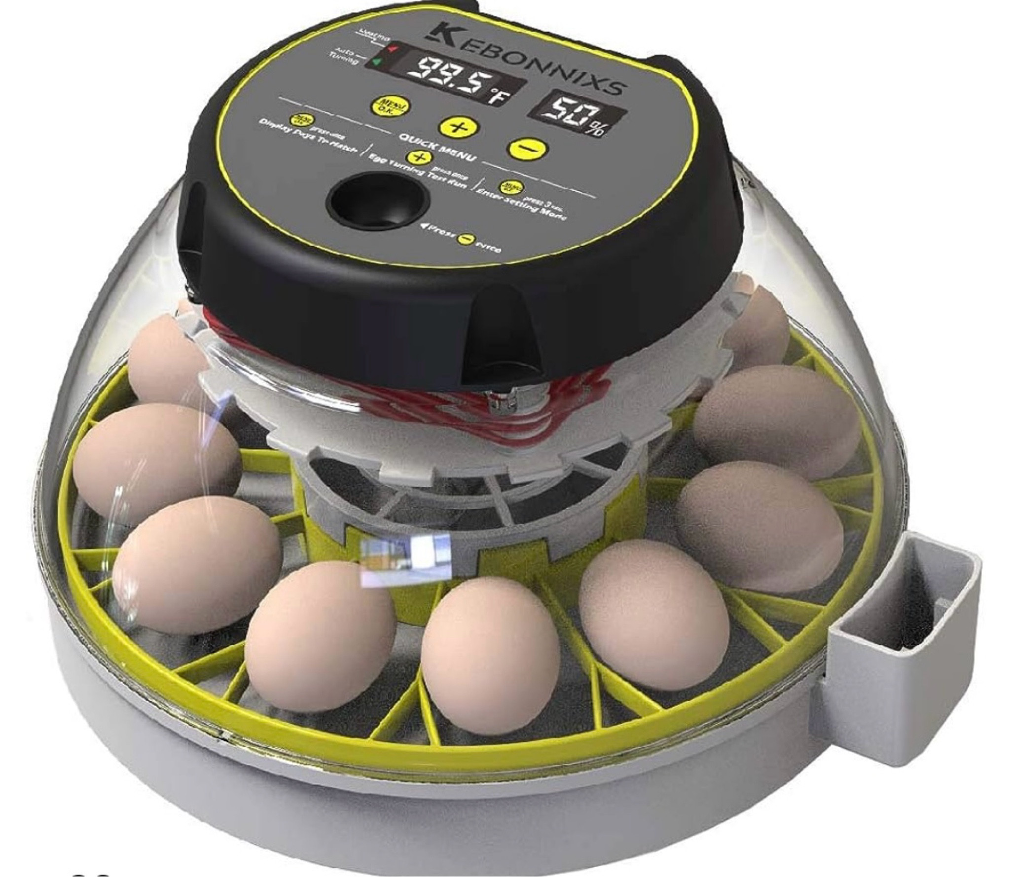 Brand: KEBONNIXS
4.4 *
12 Egg Incubator with Humidity Display, Egg Candler, Automatic Egg Turner, for Hatching Chickens

#LTKSeasonal #LTKkids #LTKfamily