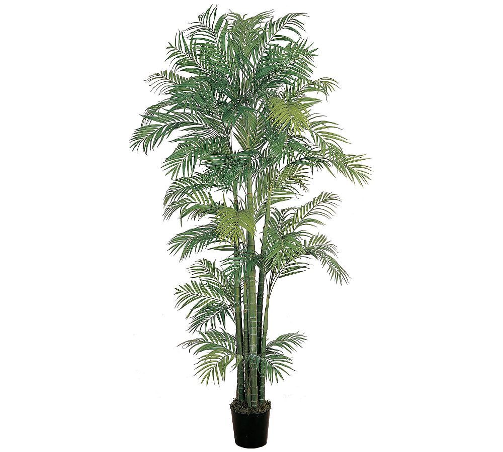 Faux Wide Areca Palm Trees | Pottery Barn (US)