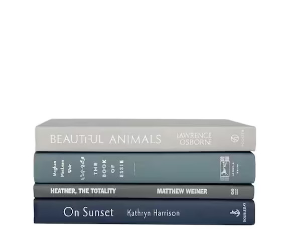 Read the full title
    Blue Books - Gray Books - Decorative Books - Staging Books - Stack of Boo... | Etsy (US)
