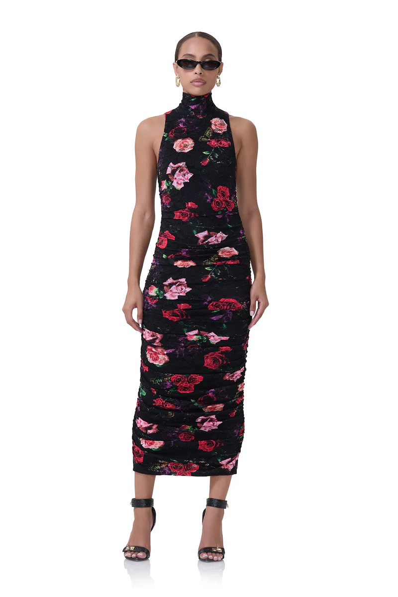 Fiorella Crochet Lace Dress - Mixed Rose | ShopAFRM