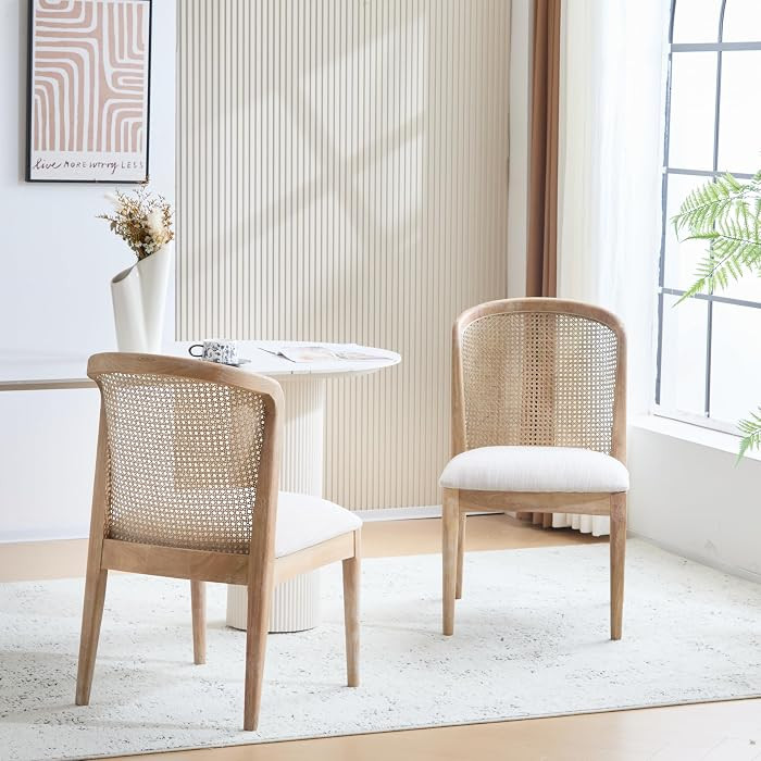 Christopher Knight Home Lilia Dining Chairs Set of 2, Modern Dining Chair with Fabric Upholstery,... | Amazon (US)